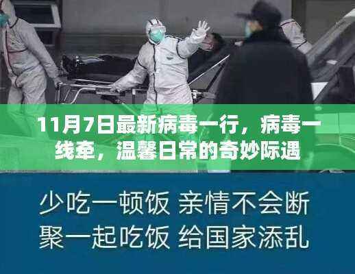 日常中的病毒一线牵,奇妙际遇于11月7日