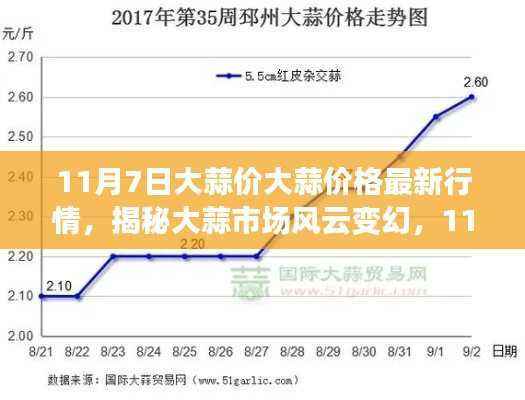 11月7日大蒜市场行情深度解析,价格风云揭秘