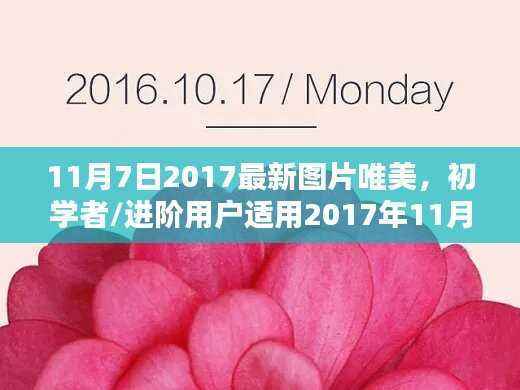 联系我们 第543页