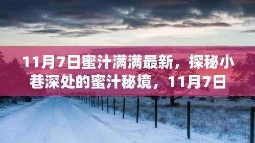探秘小巷深处的蜜汁秘境,揭秘最新特色小店,蜜汁满满的美食之旅(11月7日)