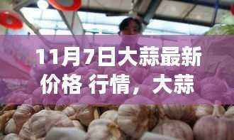 大蒜最新行情揭秘,价格背后的暖心故事与秘密