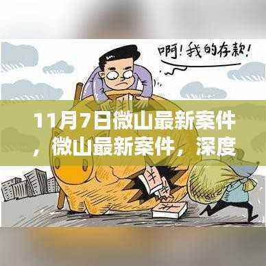 微山最新案件深度测评与介绍,11月7日案件概览
