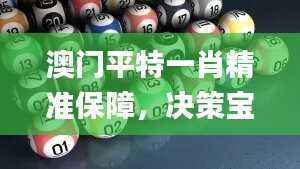 澳门平特一肖精准保障,决策宝典实证推荐_资源版BVO396.85