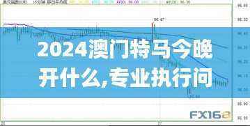 2024澳门特马今晚开什么,专业执行问题_主力版OXN809.61