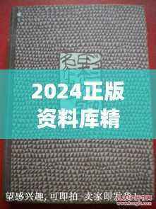2024正版资料库精选,WIL379.86怀旧版深度解读