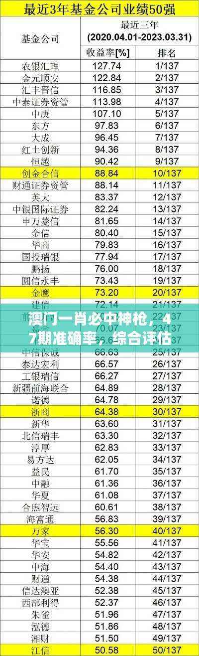 澳门一肖必中神枪,47期准确率,综合评估标准与投入分析LMX485.22
