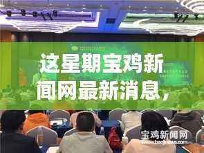 宝鸡新闻网本周聚焦,探寻最新消息背后的故事与影响