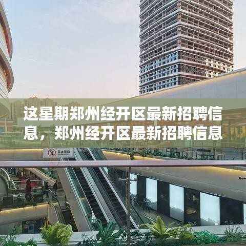 郑州经开区本周最新招聘信息及亮点解析