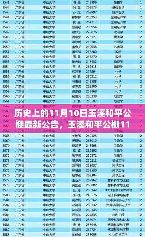 玉溪和平公棚公告背后的友情、陪伴与爱的传递——温馨故事揭晓日(11月10日)