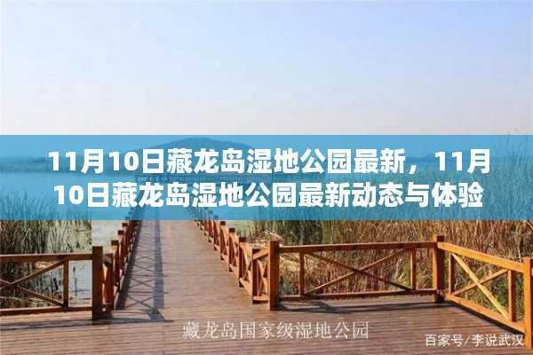 11月10日藏龙岛湿地公园的最新动态与独特体验