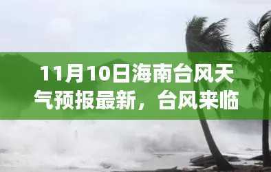 海南台风天气预报最新消息,台风来临前的冒险之旅,拥抱自然的奇遇