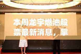 本周龙宇燃油股票全方位分析与操作指南,最新消息与动态掌握