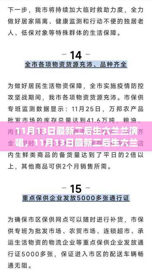 最新二后生六兰兰演唱深度解读,特性、体验与目标用户群体分析
