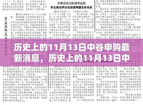 历史上的11月13日中谷申购揭秘,科技新星重塑未来生活体验的最新消息