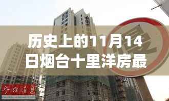 历史上的11月14日烟台十里洋房房价变迁及市场态势深度解析,最新房价与变迁分析报告