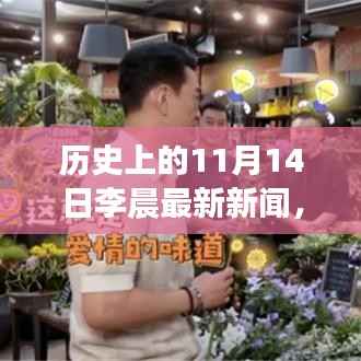 揭秘李晨的11月14日,历史、美食与小巷深处的秘密故事曝光