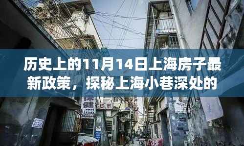 历史上的上海房产新政与独特小巷小店探秘，揭秘十一月十四日背后的故事