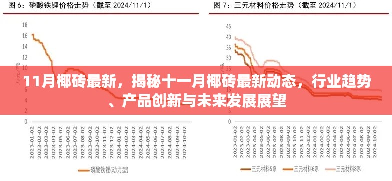 揭秘十一月椰砖最新动态,行业趋势、产品创新及未来发展展望