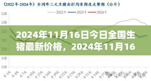 2024年11月16日全国生猪最新价格概览,市场走势与养殖策略
