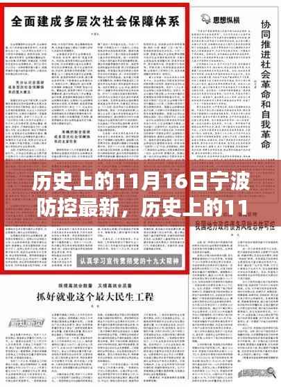 历史上的11月16日宁波防控深度解析与案例分析,最新动态回顾与案例分析报告