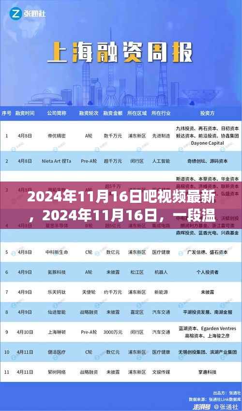 温馨陪伴与欢笑,记录于2024年11月16日的视频故事
