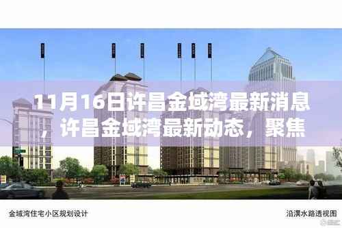 聚焦许昌金域湾最新动态,深度解析最新消息(11月16日更新)