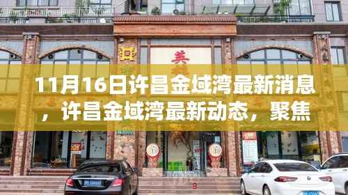 聚焦许昌金域湾最新动态,深度解析最新消息(11月16日更新)