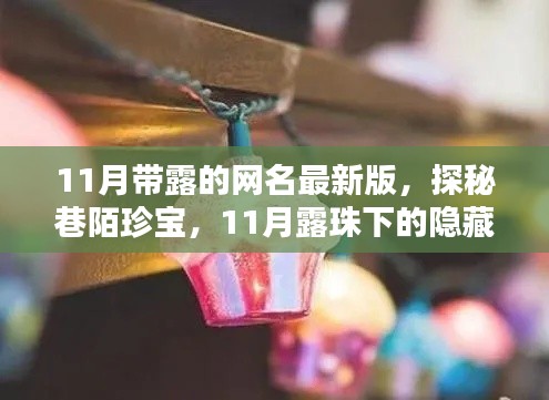 11月露珠下的巷陌珍宝,探秘隐藏特色小店