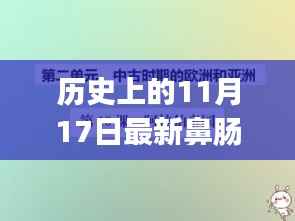 历史上的11月17日鼻肠管护理PPT详解与学习指南