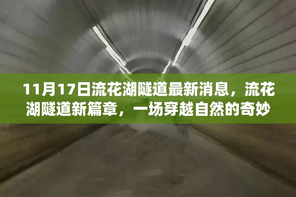 流花湖隧道新进展,启程穿越自然的奇妙旅行!