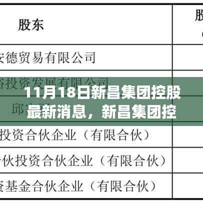 聚焦新昌集团控股最新动态解析,探析观点与最新消息(11月18日)