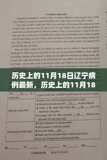历史上的11月18日辽宁病例深度分析与最新评测