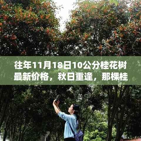 风驰电掣 第13页