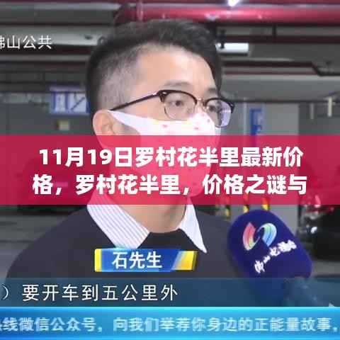 罗村花半里最新价格揭秘,日常温馨与价格之谜的交汇点