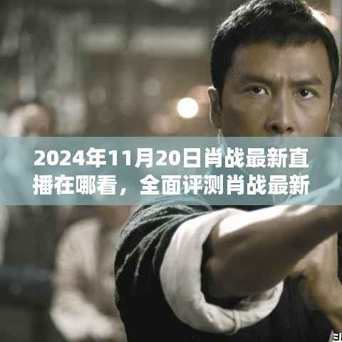 肖战直播盛典,观看体验、竞品对比与深度解析——2024年肖战最新直播全面评测