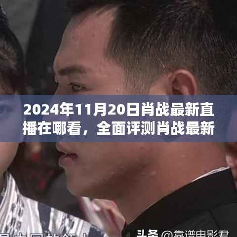 肖战直播盛典,观看体验、竞品对比与深度解析——2024年肖战最新直播全面评测