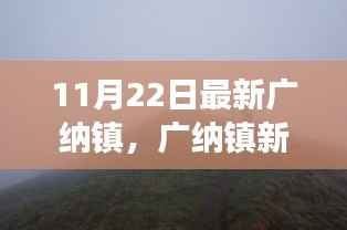 广纳镇新探，寻找内心平静的奇妙之旅，启程远离尘嚣的探险启程