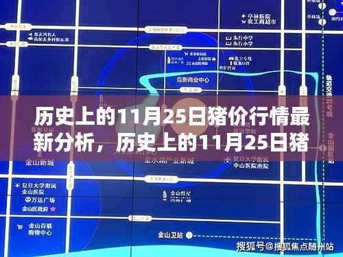 历史上的11月25日猪价行情深度解析与最新分析