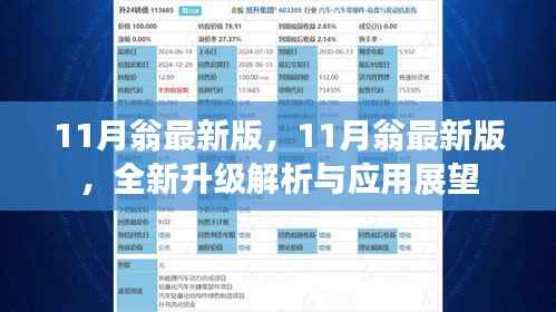 11月翁最新版全新升级解析与应用展望报告