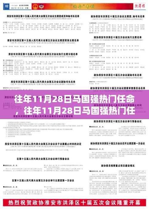 往年11月28日马国强热门任命全面解析，特性、体验、竞品对比及用户群体深度分析