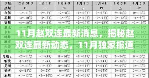 涉政人物赵双连最新动态揭秘,深度解析其近期发展及影响