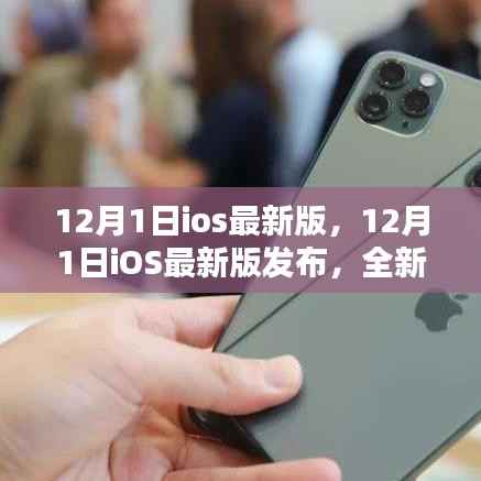 12月1日iOS最新版发布,全新特性与用户体验革新揭秘