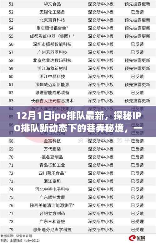 探秘IPO排队新动态下的巷弄秘境,特色小店独特风采的最新展示(12月1日更新)