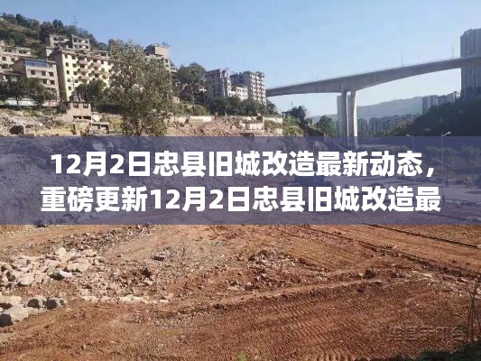 垂头丧气 第7页