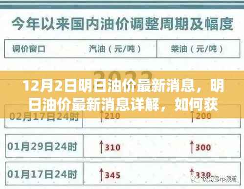 明日油价动态解析,最新消息获取与分析(12月2日更新)