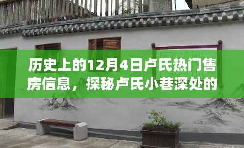 探秘卢氏售房秘密故事,历史上的十二月四日热门房源探秘