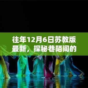 探秘巷陌间的独特风味,某年12月6日苏式风情小巷中的秘密小店揭秘