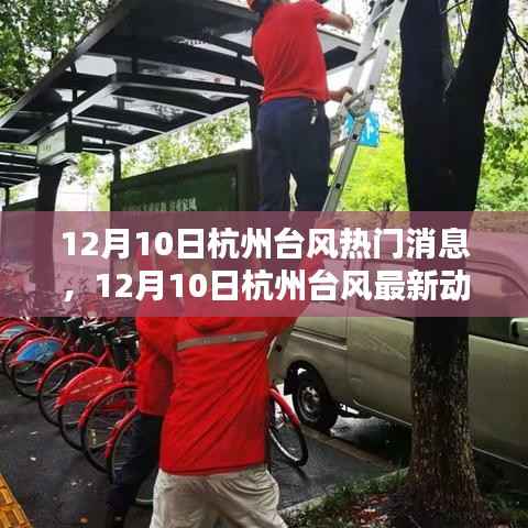 杭州台风最新动态与热门消息全解析(12月10日)