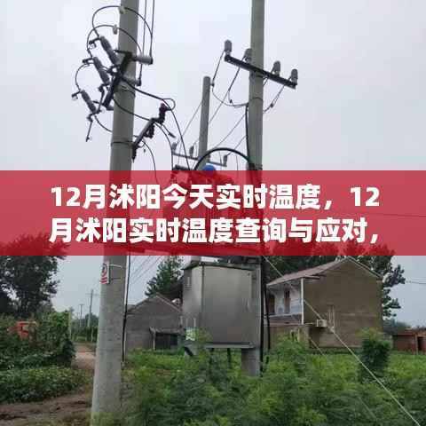 12月沭阳实时温度查询与应对指南,今日温度及详细步骤