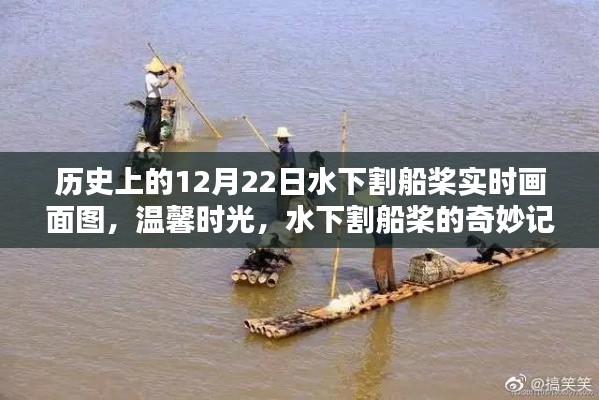 温馨时光,水下割船桨的奇妙记忆与实时画面图